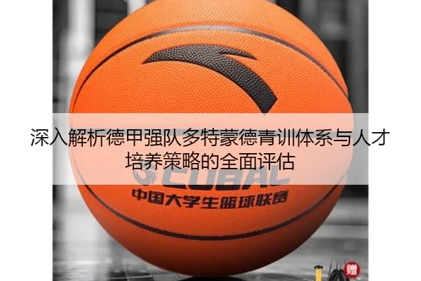 深入解析德甲强队多特蒙德青训体系与人才培养策略的全面评估